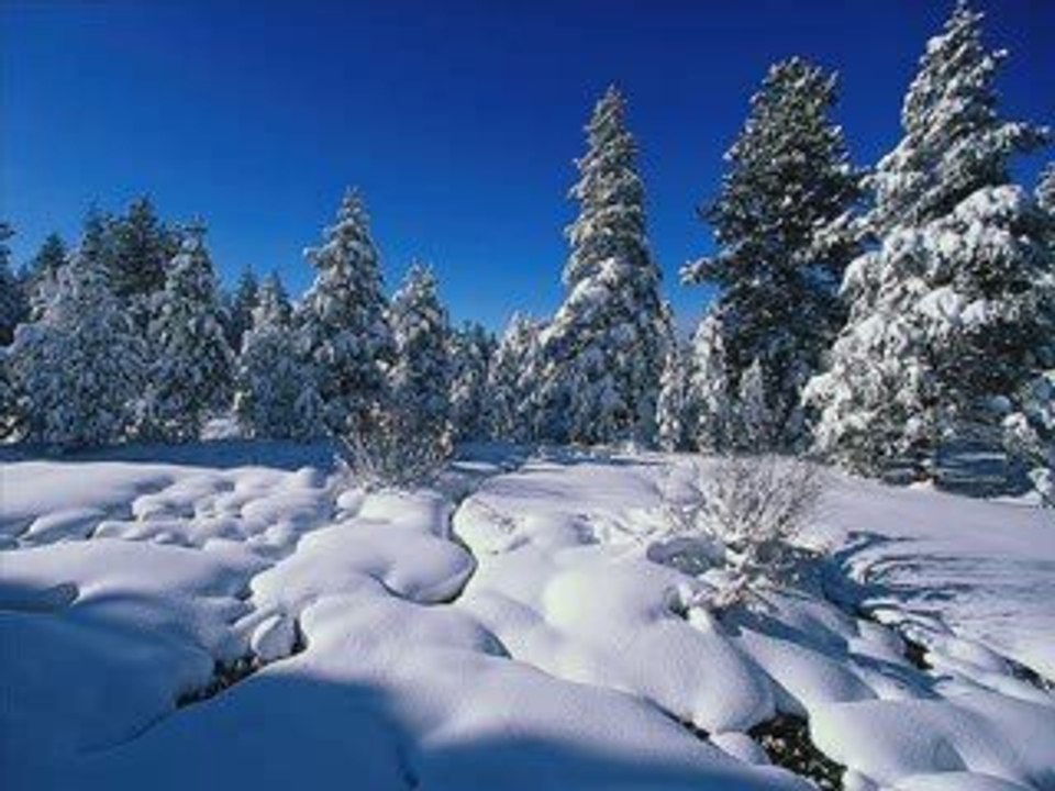 WINTER