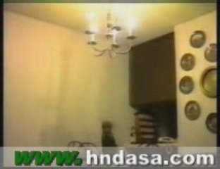 مواقف وطرائف القطط والحيوانات