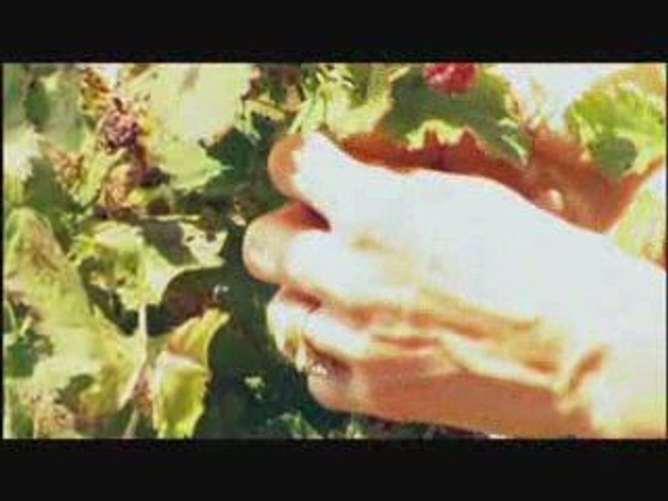 Gourmet Food Trail in the Margaret River Wine Region