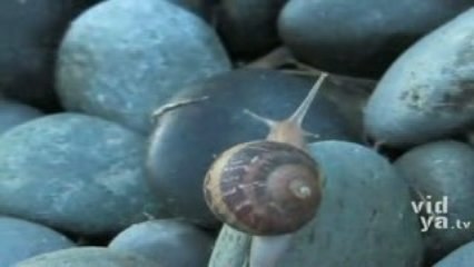 Just A Little Longer - Slow Down and Experience More of Life