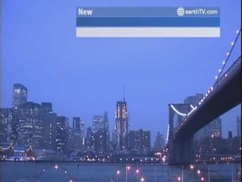 Amsterdam - Netherlands, Honolulu - USA, Melbourne - Australia, Hong Kong SAR - China, Auckland - New Zealand, New York - USA, Sydney - Australia