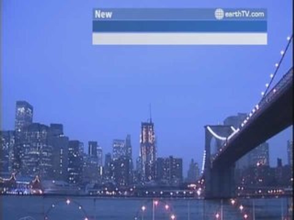 Amsterdam - Netherlands, Honolulu - USA, Melbourne - Australia, Hong Kong SAR - China, Auckland - New Zealand, New York - USA, Sydney - Australia