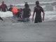 Surf dog & adaptive surfer do tandem surfing