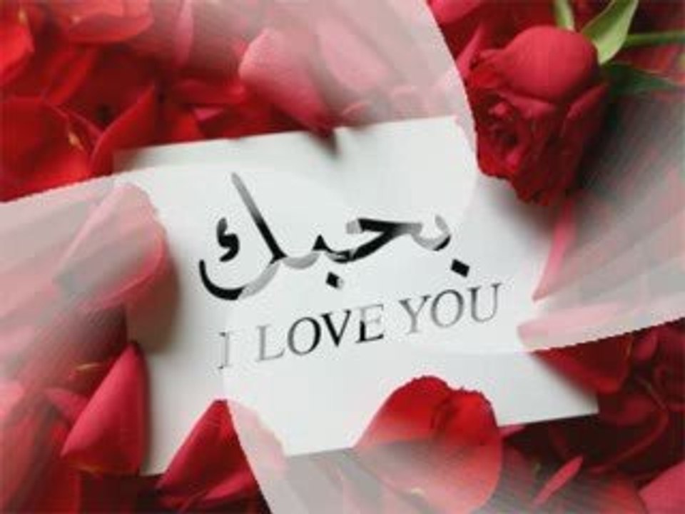 حبيبي الغالي