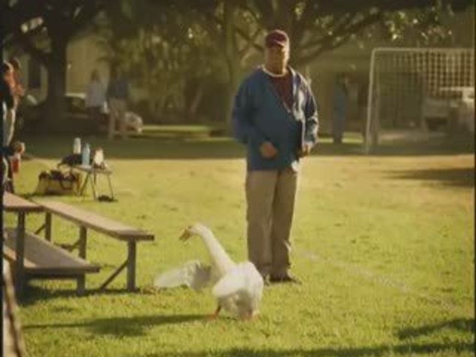 Aflac Duck Dance