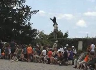 Vautours