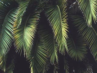 السيد الشيشيني مع عاطف عبد العزيز علي صوت العرب-1