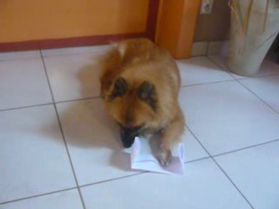 Louna fait un test