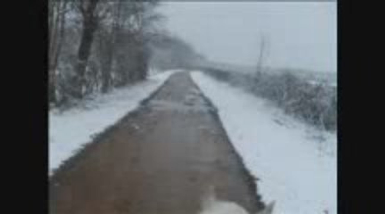 ma passion les chevaux