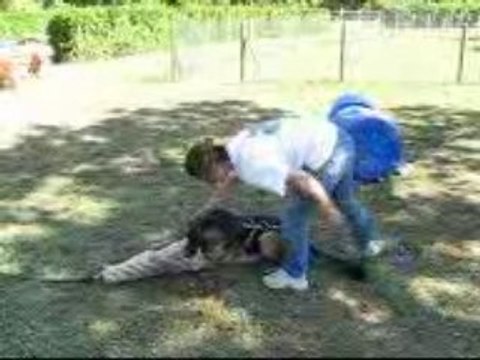 dolche gabanna de savage garden