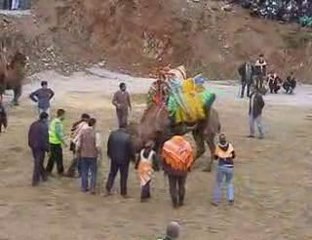 özen efe-mert daylak