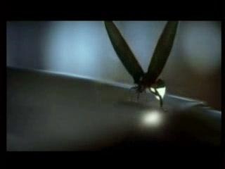 Une relation originale...