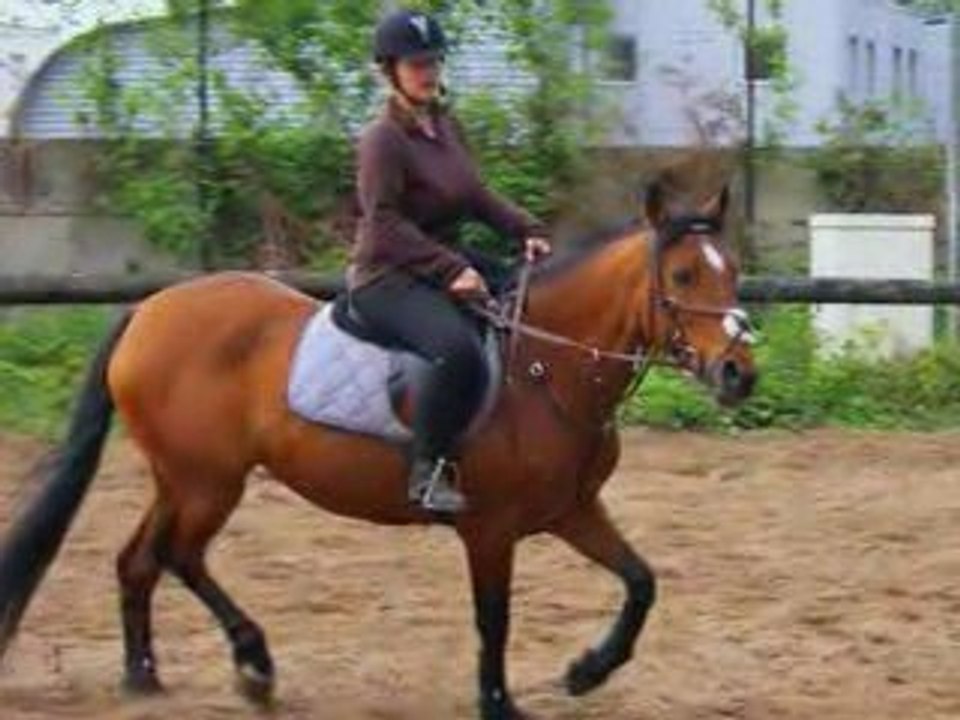 COURS EQUITATION