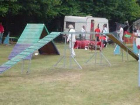 Concours Querqueville avec Brisca : 1er degré