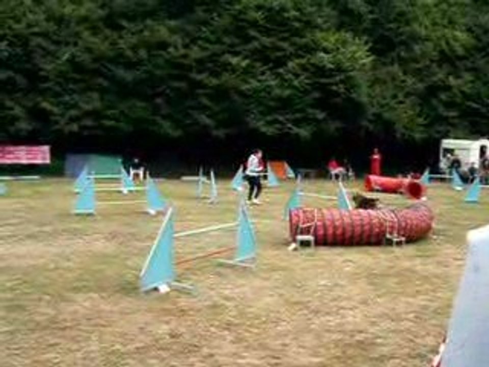 Concours Querqueville avec Brisca : Jumping