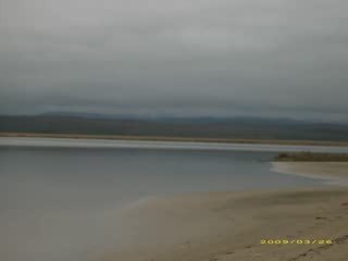 Grup yorum-Gülebilmez gülüm