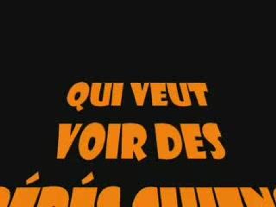 Bébé dogues allemands