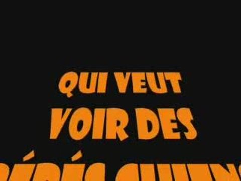 Bébé dogues allemands