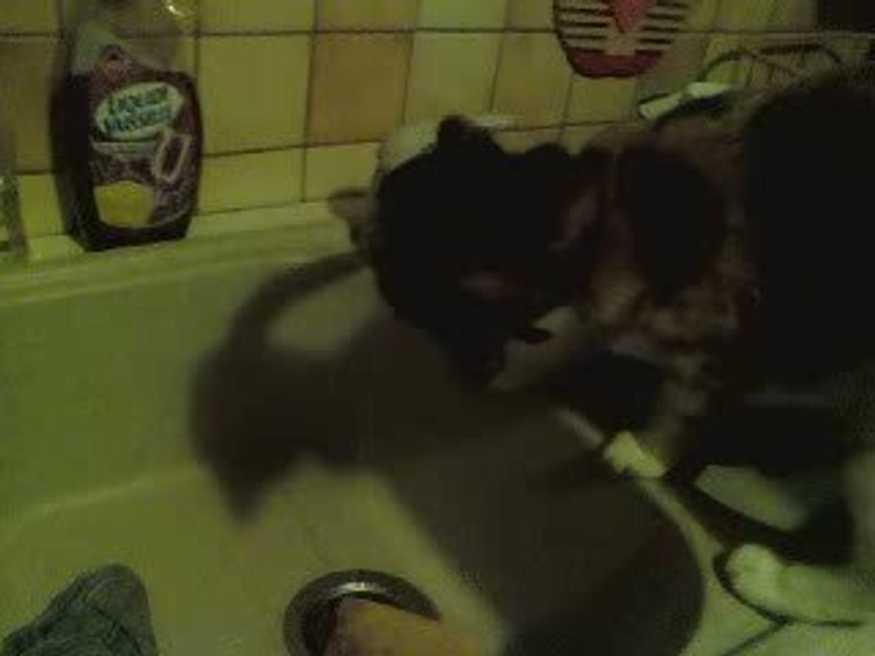 Choupette et le Robinet