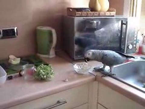 Pourquoi tant de violence ???