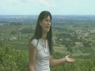 Château Moulin-Favre