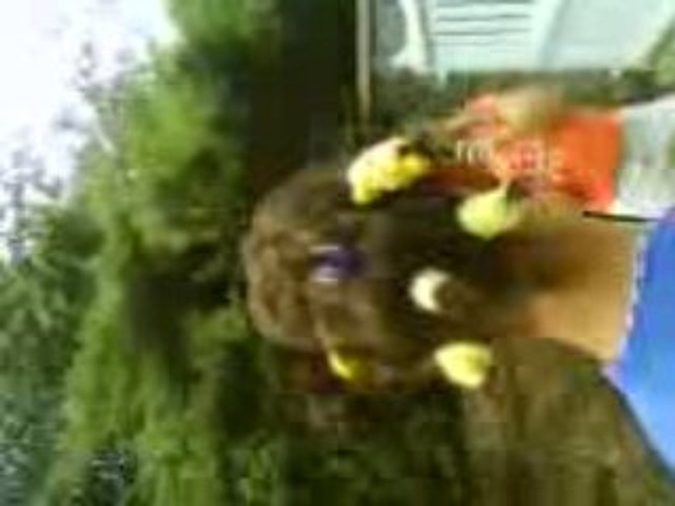 Mon cousin Alexis on lui a mis pleins de chouchou