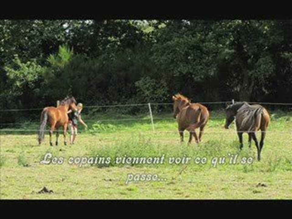 Chez STL au pré