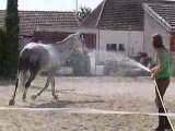 Douche en liberter de Toto