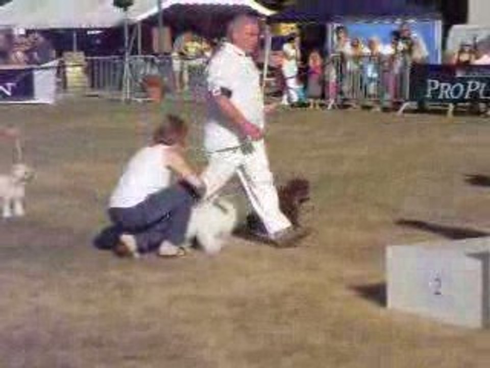 Romorantin 30-09-2009 126