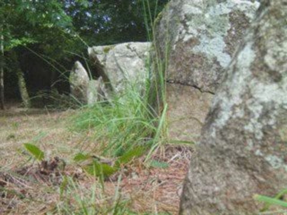 Morbihan_2009