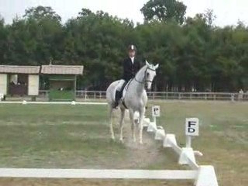 Oeil d'or - Dressage - Meeting 2009