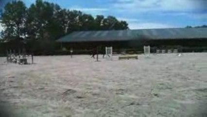 Charlotte & Quitus