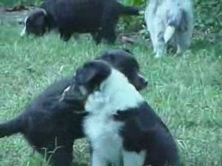 Eliott_4 semaines et demi