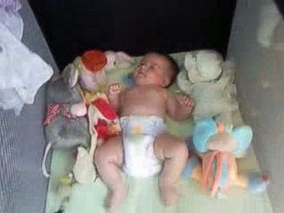 La chaton se marre !!!!!