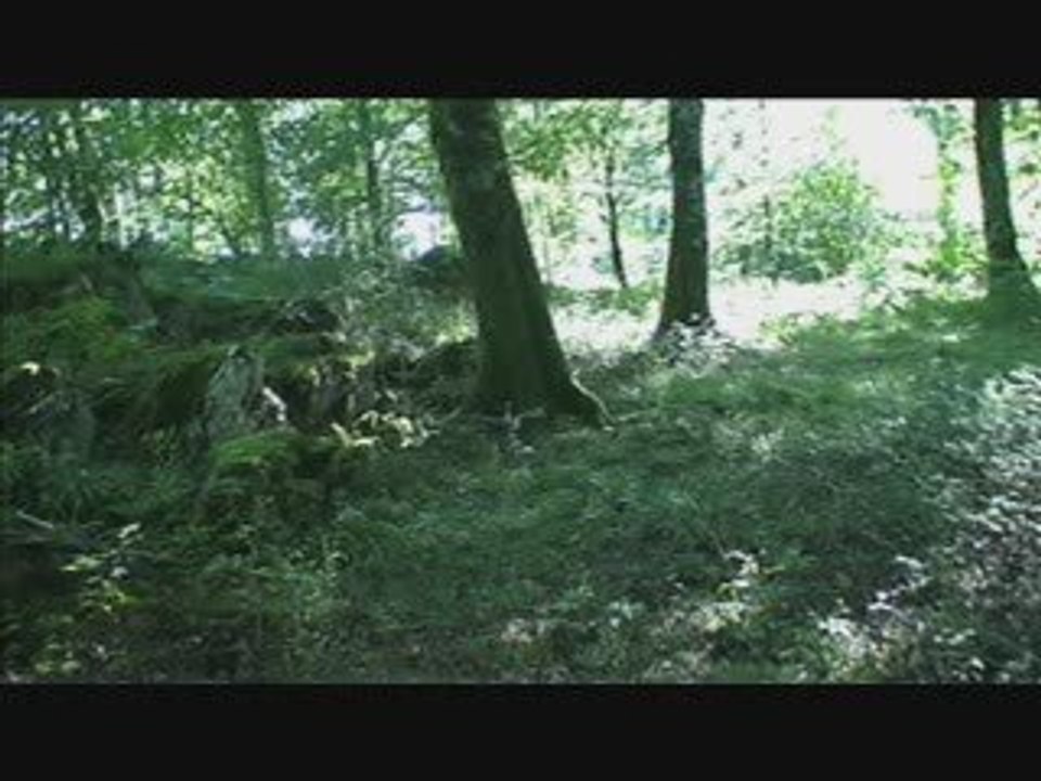 2009-07-30-ANAEL