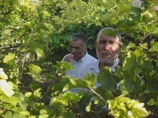 KARAMAN BUCAKKISLA KÖYÜ