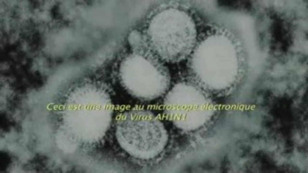 Opération Pandémie