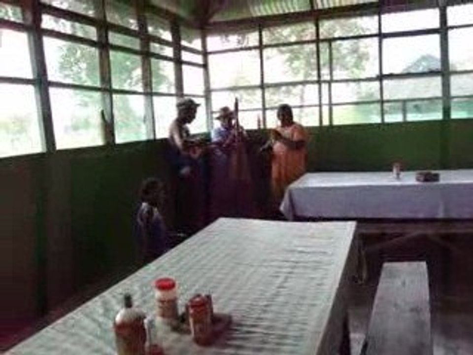 Musica local en Los Llanos