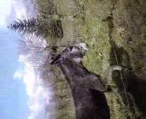 c d 2 c doullens souvenir la classe