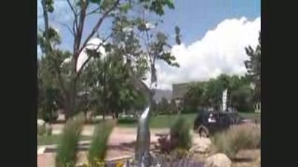 “The Evolution of Flora” a kinetic sculpt. by jason stillman