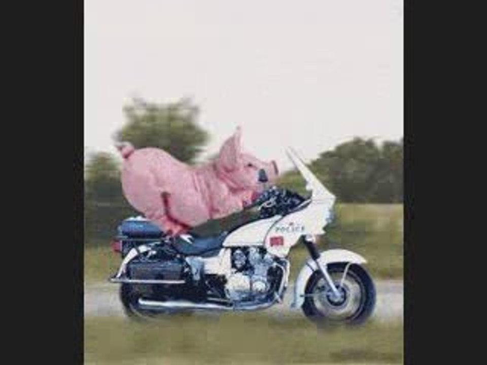 Recette Funk ( Maïté) ---