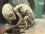 Alien baby or elaborate hoax Video