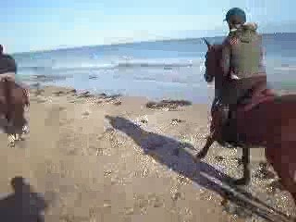 Galop à Cabourg