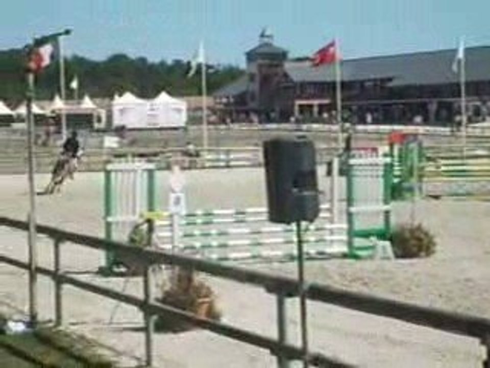 Résane de mence