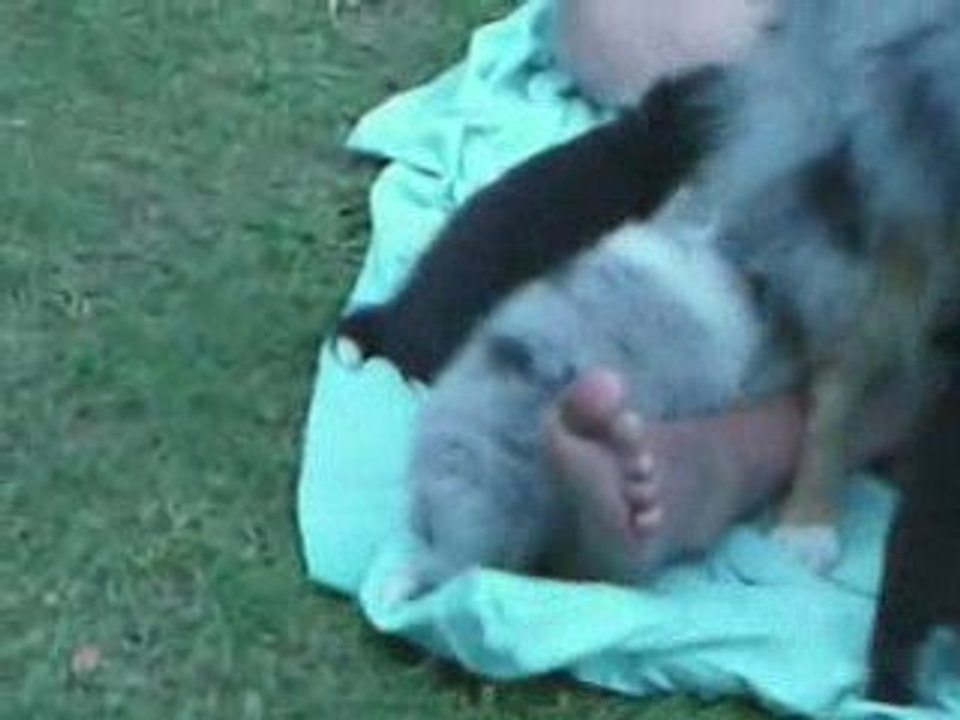 Endy 4 semaines_et demi