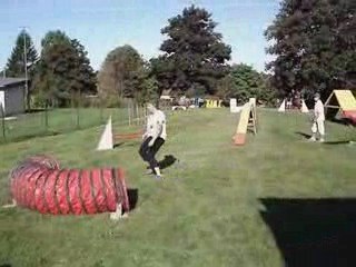 La Haye Pesnel Bamboo