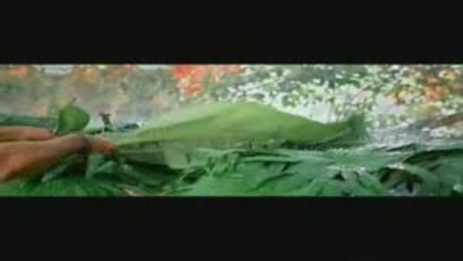 Haan Main Jitni Martaba - all the best song promo