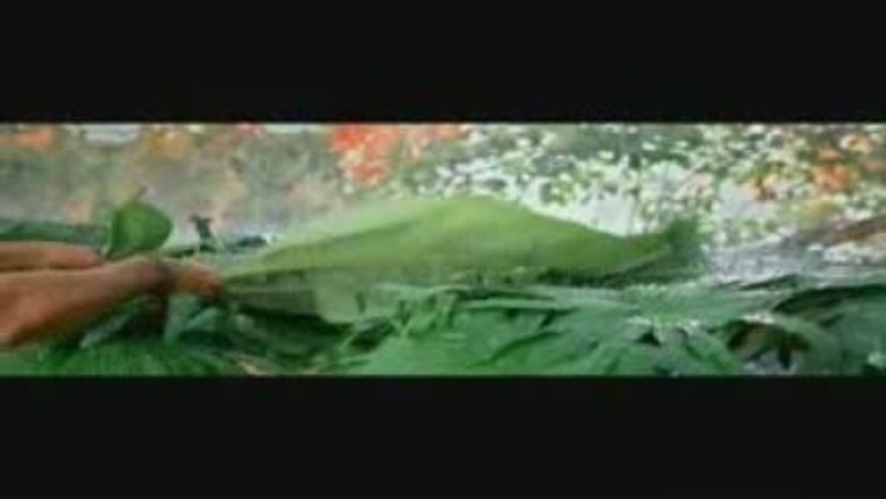 Haan Main Jitni Martaba - all the best song promo