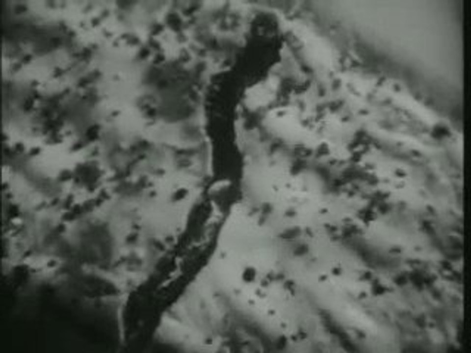 Vintage Kelloggs Pop Tarts Commercial