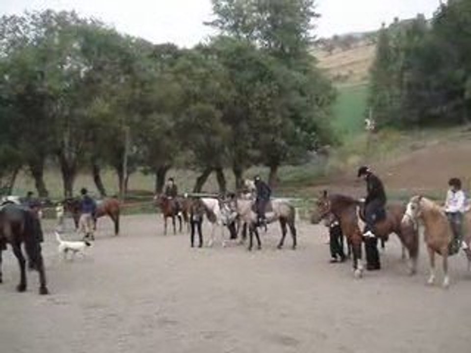 Cheval